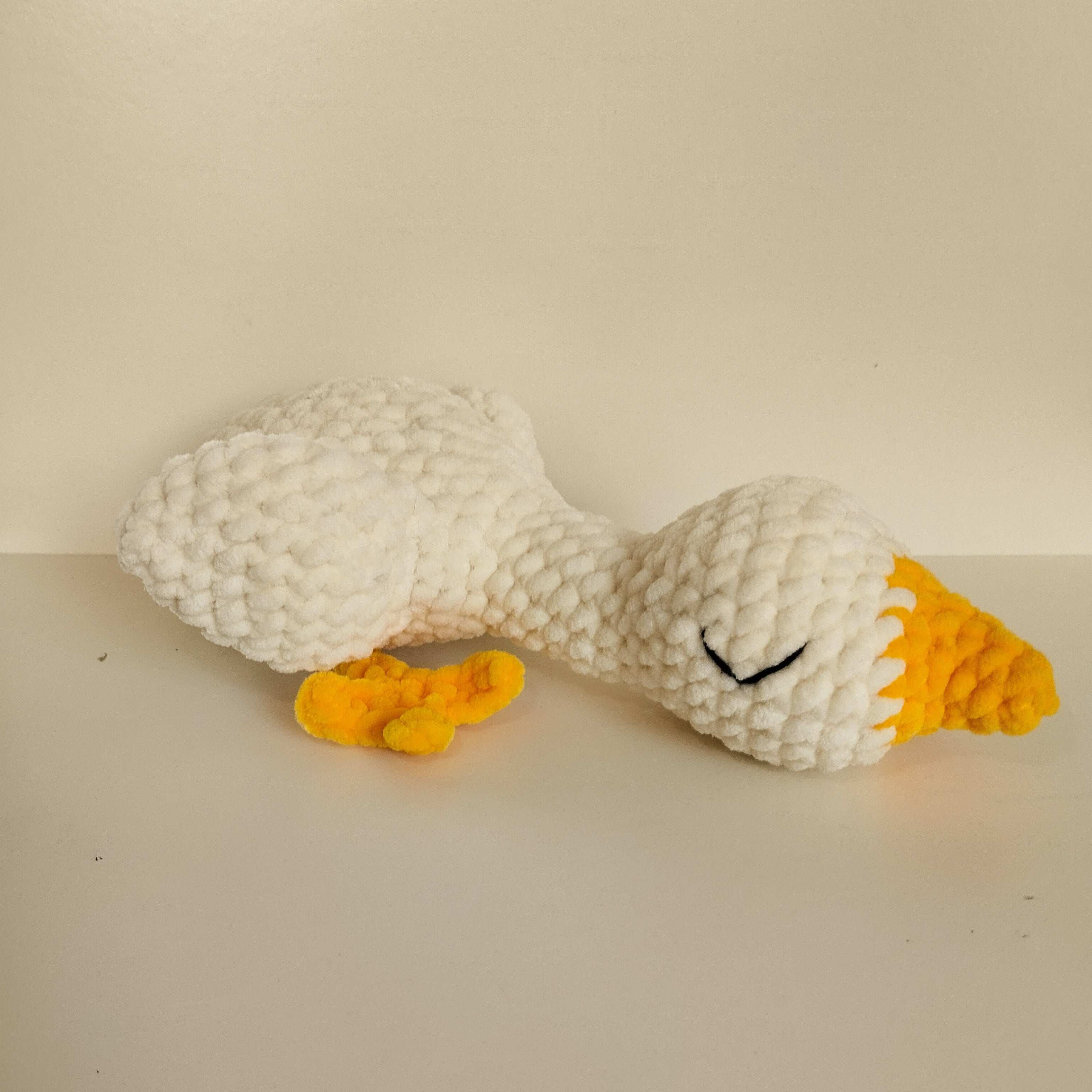 Oiseaux Endormis 💤