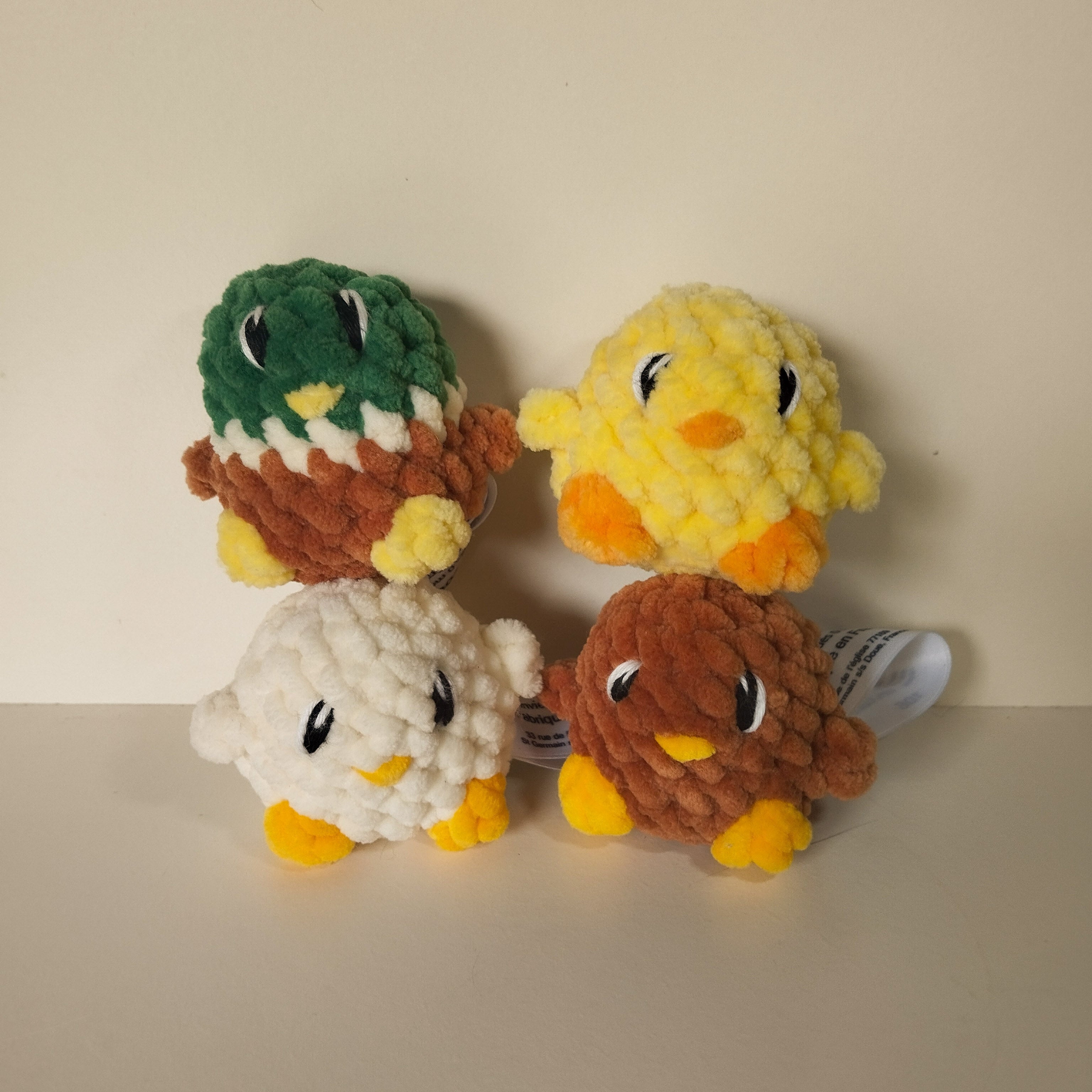 Poussin 🐤